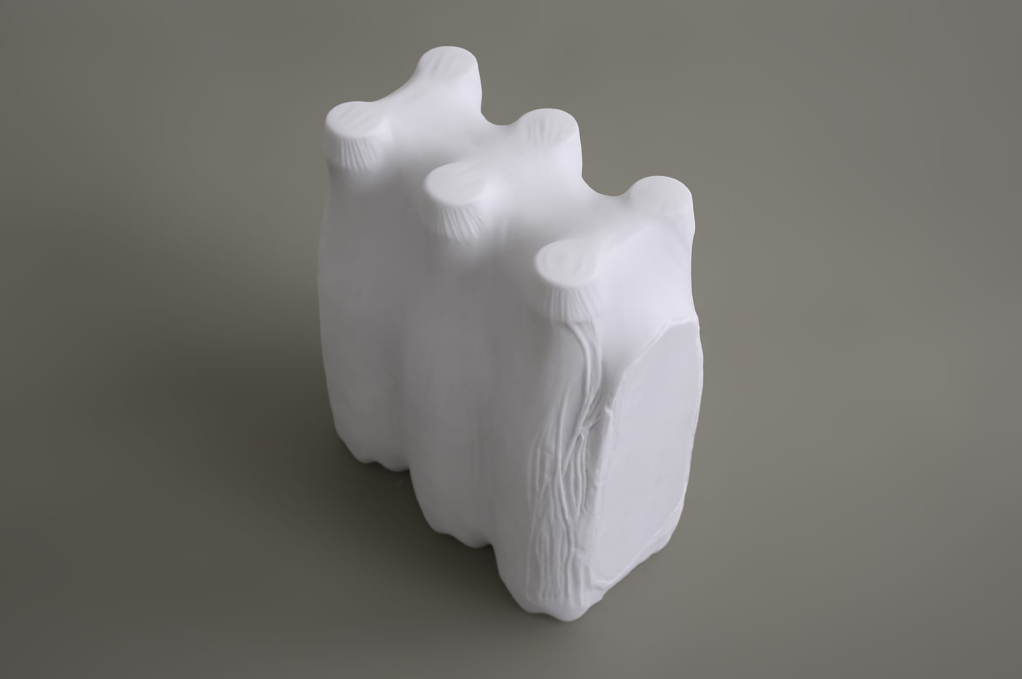 Luca_Resta-Works-MONUMENTS-Veiled_objects-Veiled_bottles-2.jpg